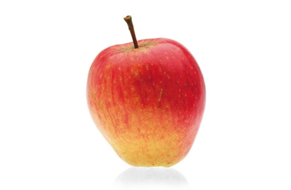 Shop Mörgeli Obstbau