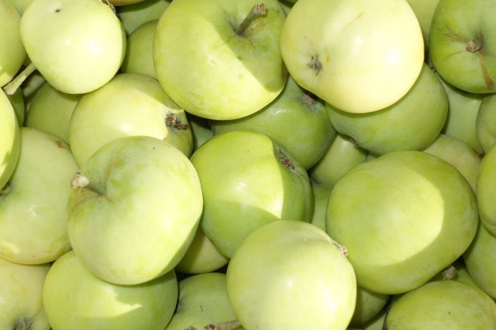 Klarapfel