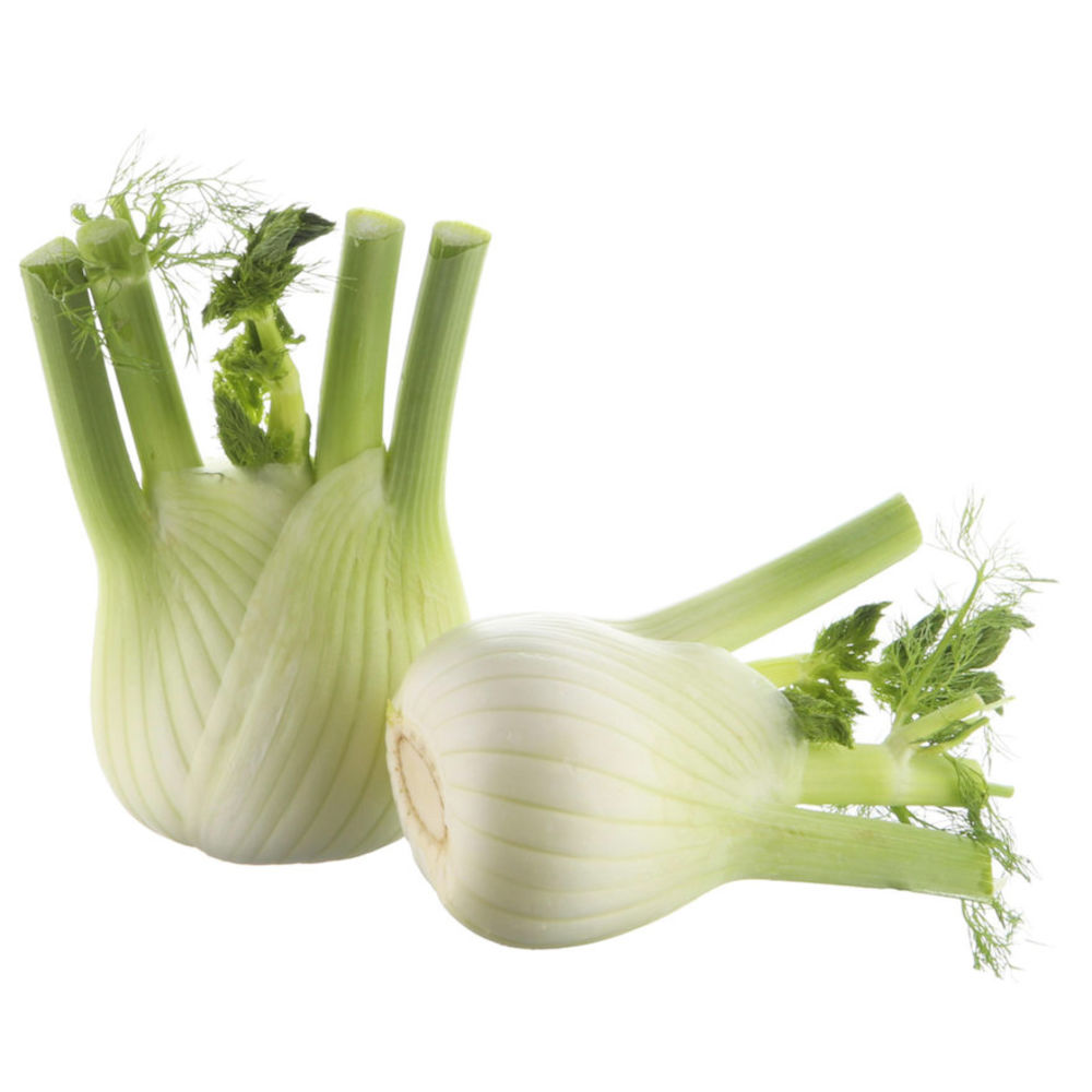 Fenchel